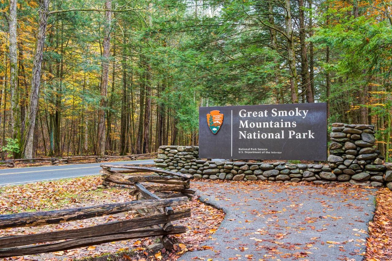 Apartamento City Bear, 2Br, Pool, Spa, Downtown Gatlinburg, Sleeps 6 Exterior foto