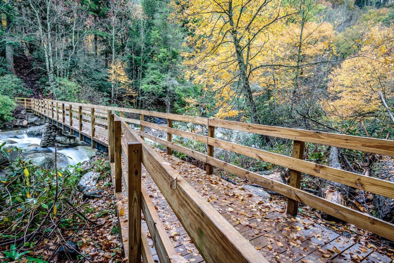 Apartamento City Bear, 2Br, Pool, Spa, Downtown Gatlinburg, Sleeps 6 Exterior foto